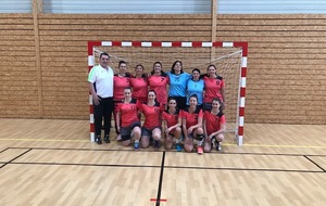 Championnat de France Handball Féminin 